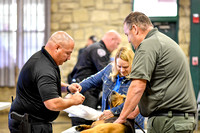 Canine First Aid Training