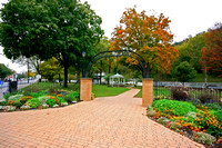 Fall