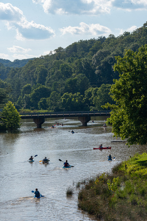 Beechfork-6981