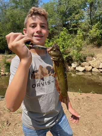 carson-shock-master-angler-bullhead